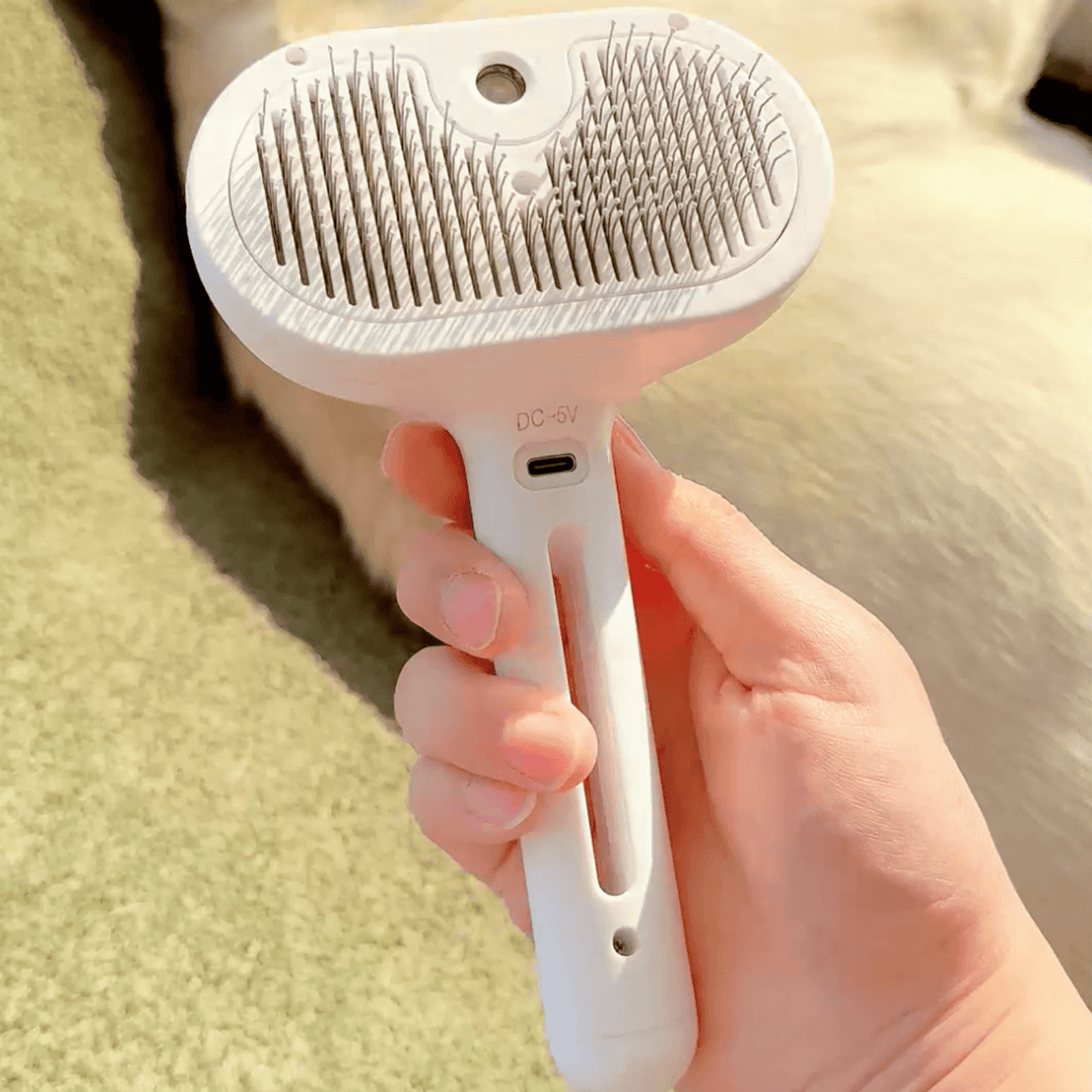 BrushPaw Ångborste för Hundar