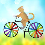 Orange katt