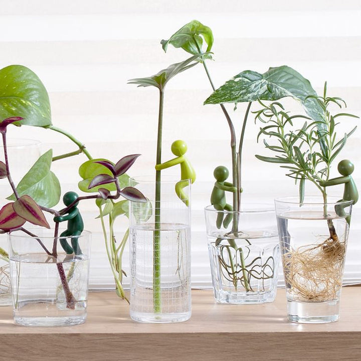 "Charmigt växtstöd för unga stjälkar i plast, ger estetiskt och funktionellt stöd till inomhusträdgårdar."