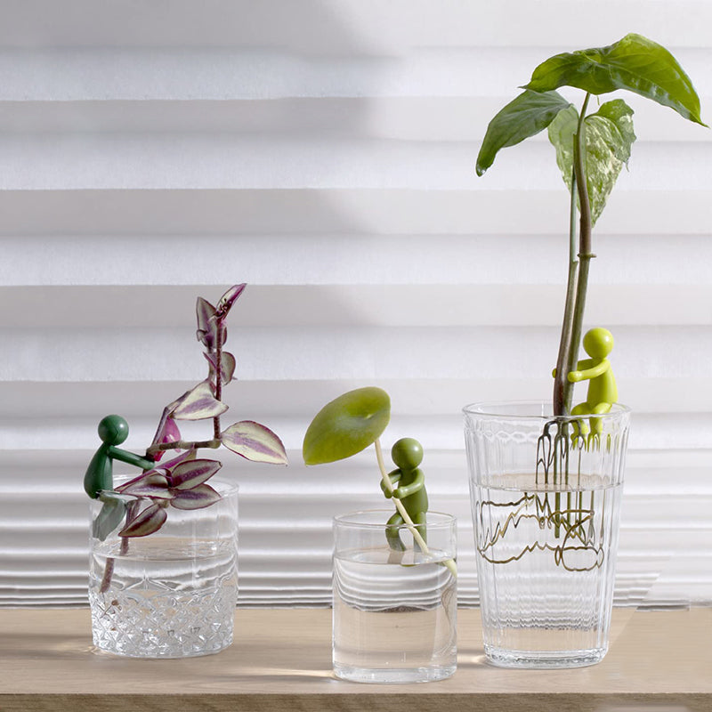 "Charmigt växtstöd för unga stjälkar i plast, ger estetiskt och funktionellt stöd till inomhusträdgårdar."