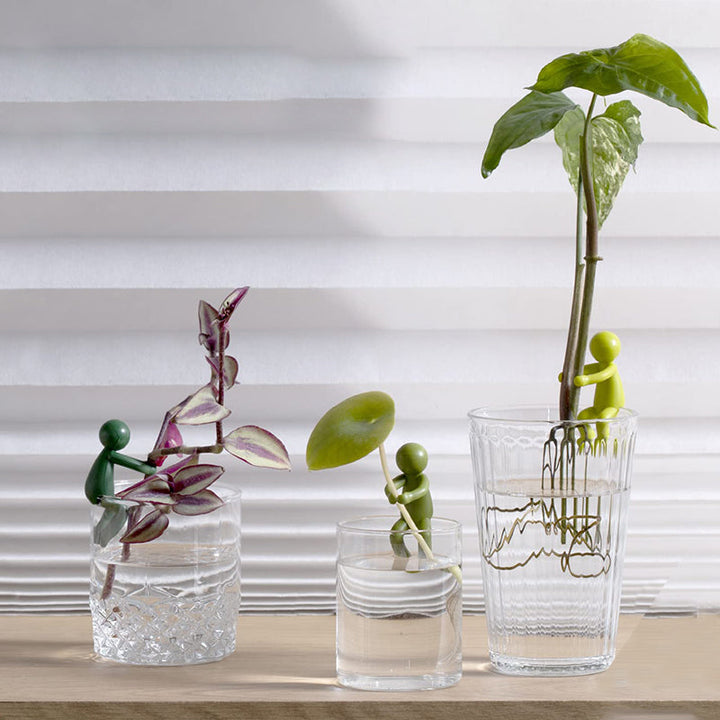 "Charmigt växtstöd för unga stjälkar i plast, ger estetiskt och funktionellt stöd till inomhusträdgårdar."