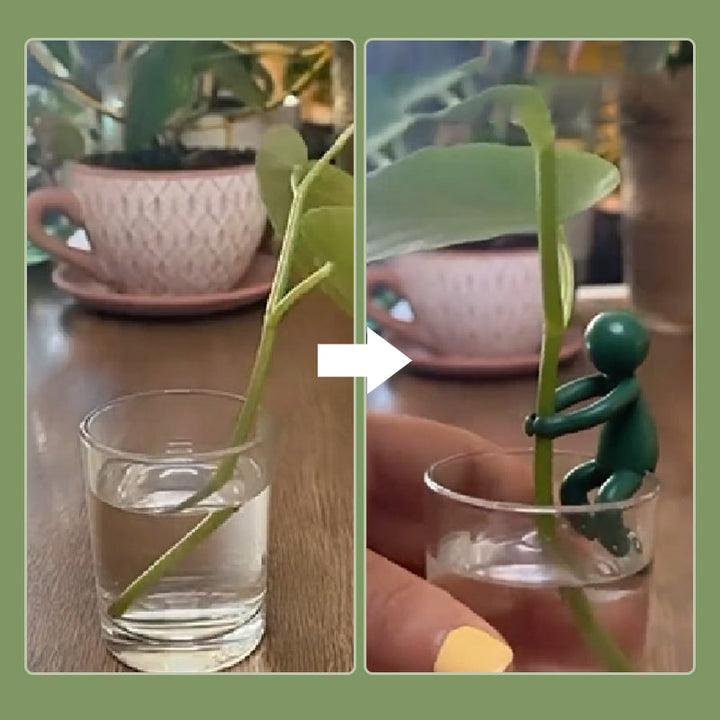 "Charmigt växtstöd för unga stjälkar i plast, ger estetiskt och funktionellt stöd till inomhusträdgårdar."