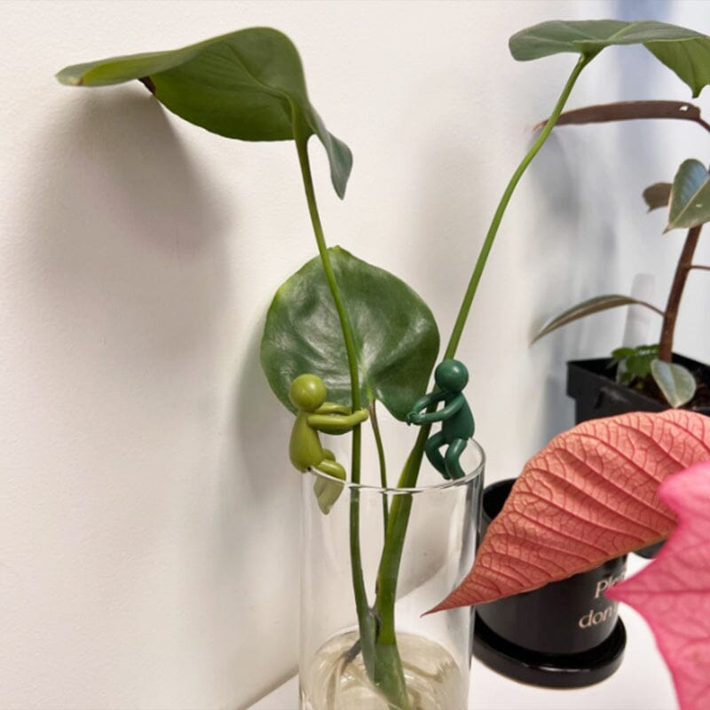 "Charmigt växtstöd för unga stjälkar i plast, ger estetiskt och funktionellt stöd till inomhusträdgårdar."