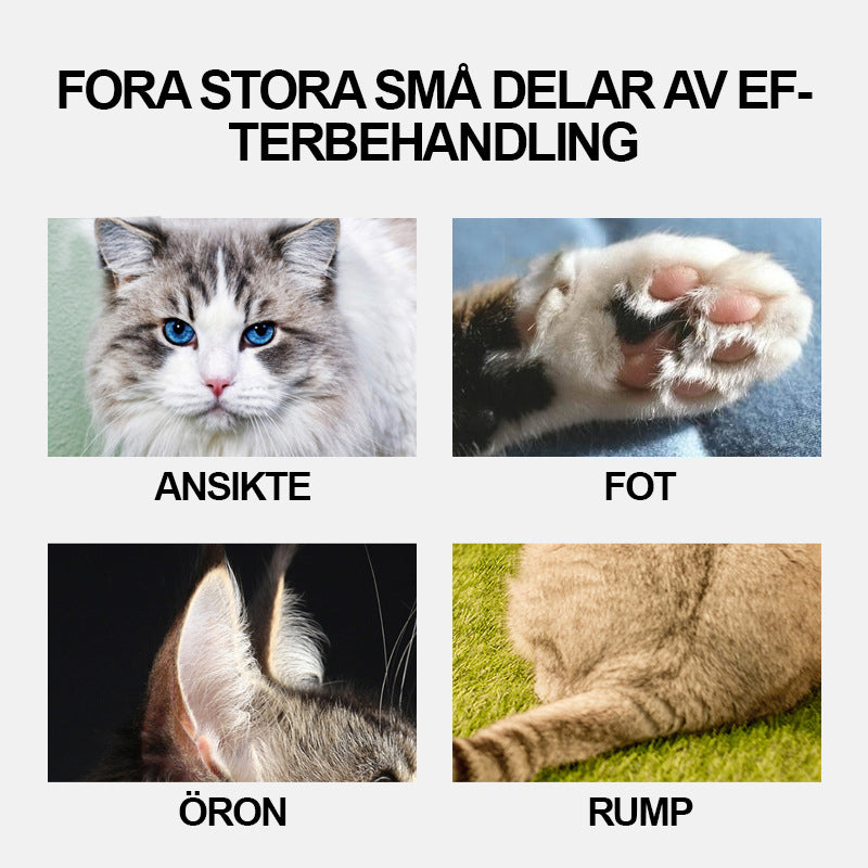 "Ergonomisk mini trimmer för husdjur, kompakt design i svart med säkerhetsblad, perfekt för svåråtkomliga områden."