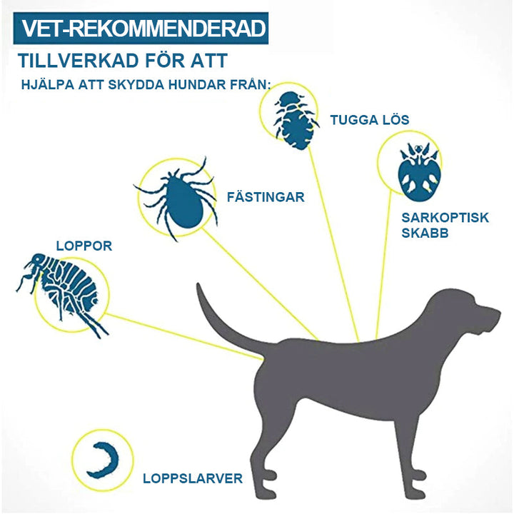 "Grön silikon avmaskningshalsband för hund och katt, justerbart och komfortabelt skydd mot parasiter i utomhusmiljöer."