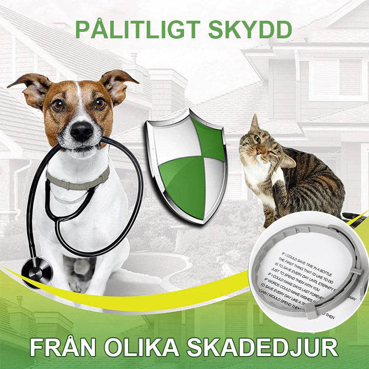 "Grön silikon avmaskningshalsband för hund och katt, justerbart och komfortabelt skydd mot parasiter i utomhusmiljöer."