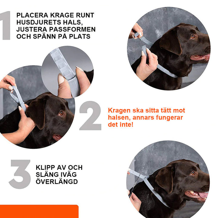 "Grön silikon avmaskningshalsband för hund och katt, justerbart och komfortabelt skydd mot parasiter i utomhusmiljöer."