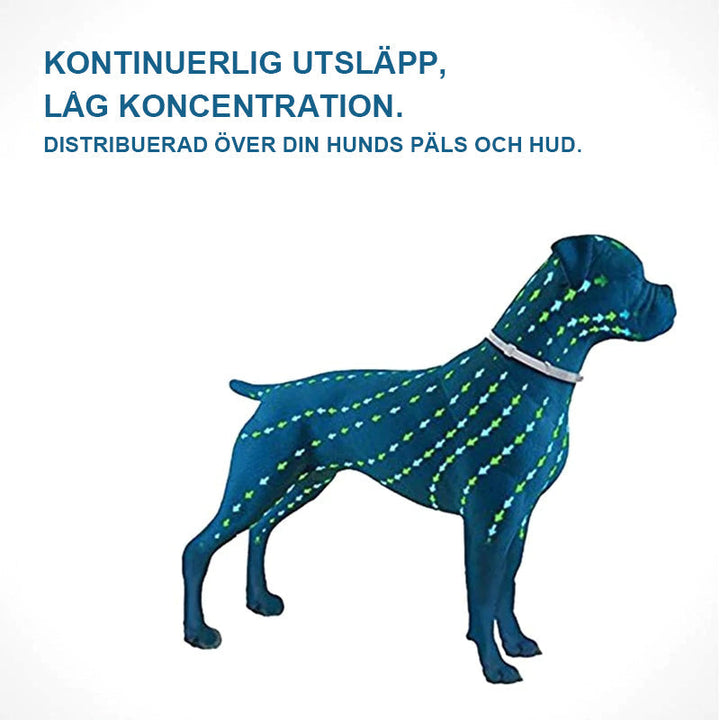 "Grön silikon avmaskningshalsband för hund och katt, justerbart och komfortabelt skydd mot parasiter i utomhusmiljöer."