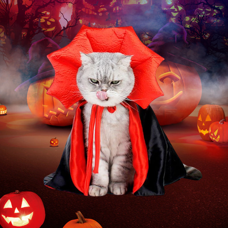 "Halloween Dracula husdjurskostym för katt och liten hund, svart och röd mantel, justerbar krage, dramatiskt stiligt."