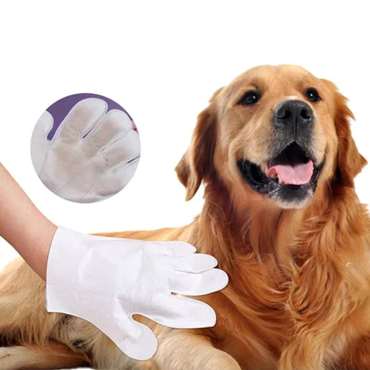 "Husdjursvårdshandskar i vit aluminiumfolie, lätta att använda, ger massage och fuktar pälsen."