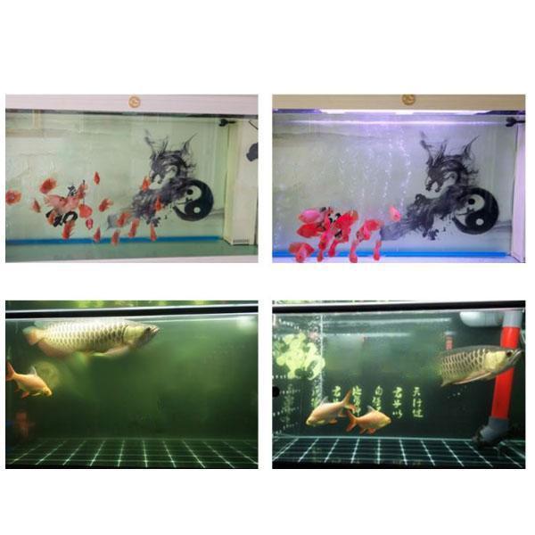 "Svart, kubformad vattenrengörare för akvarium med aktivt kol, renar vatten från smuts och kemikalier, hållbart akvarietillbe