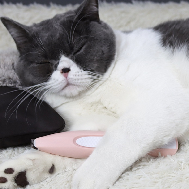 "Tyst rakapparat för djurhår i snygga färger: grön, rosa, vit. Kompakt design, perfekt för husdjursvård och trimming."