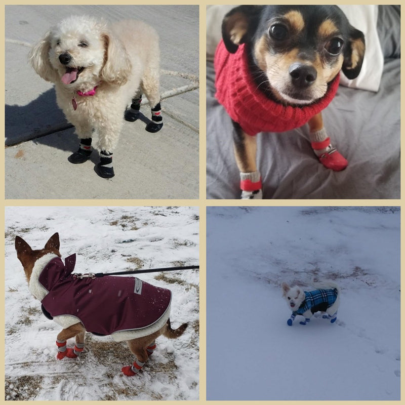 "Vattentäta halkfria hundskor i flera färger, andningsbara med halkfri sula, ger skydd och stil åt husdjurens tassar."