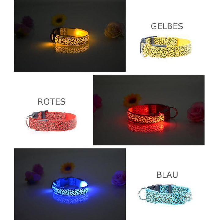 LED lysande hundhalsband