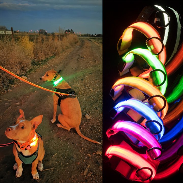 LED Hundhalsband