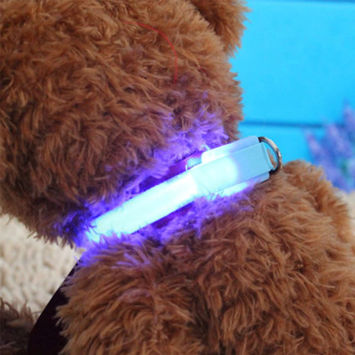 LED Hundhalsband