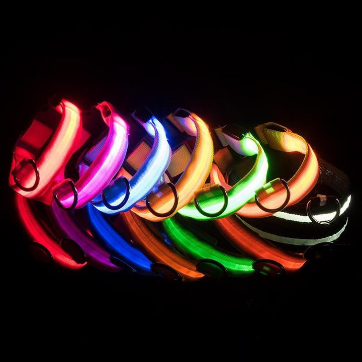 LED Hundhalsband