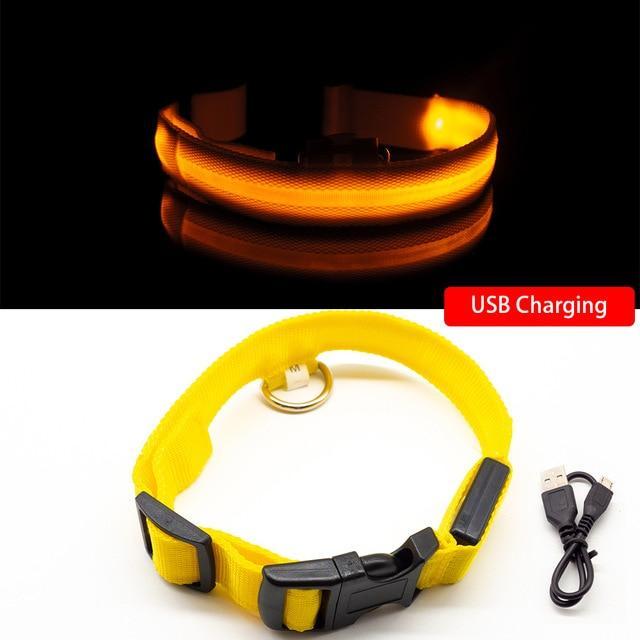 LED Hundhalsband