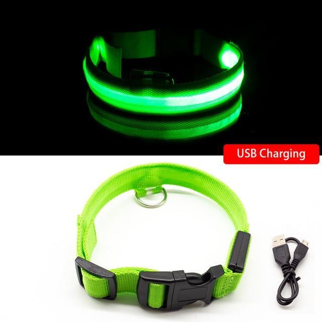 LED Hundhalsband